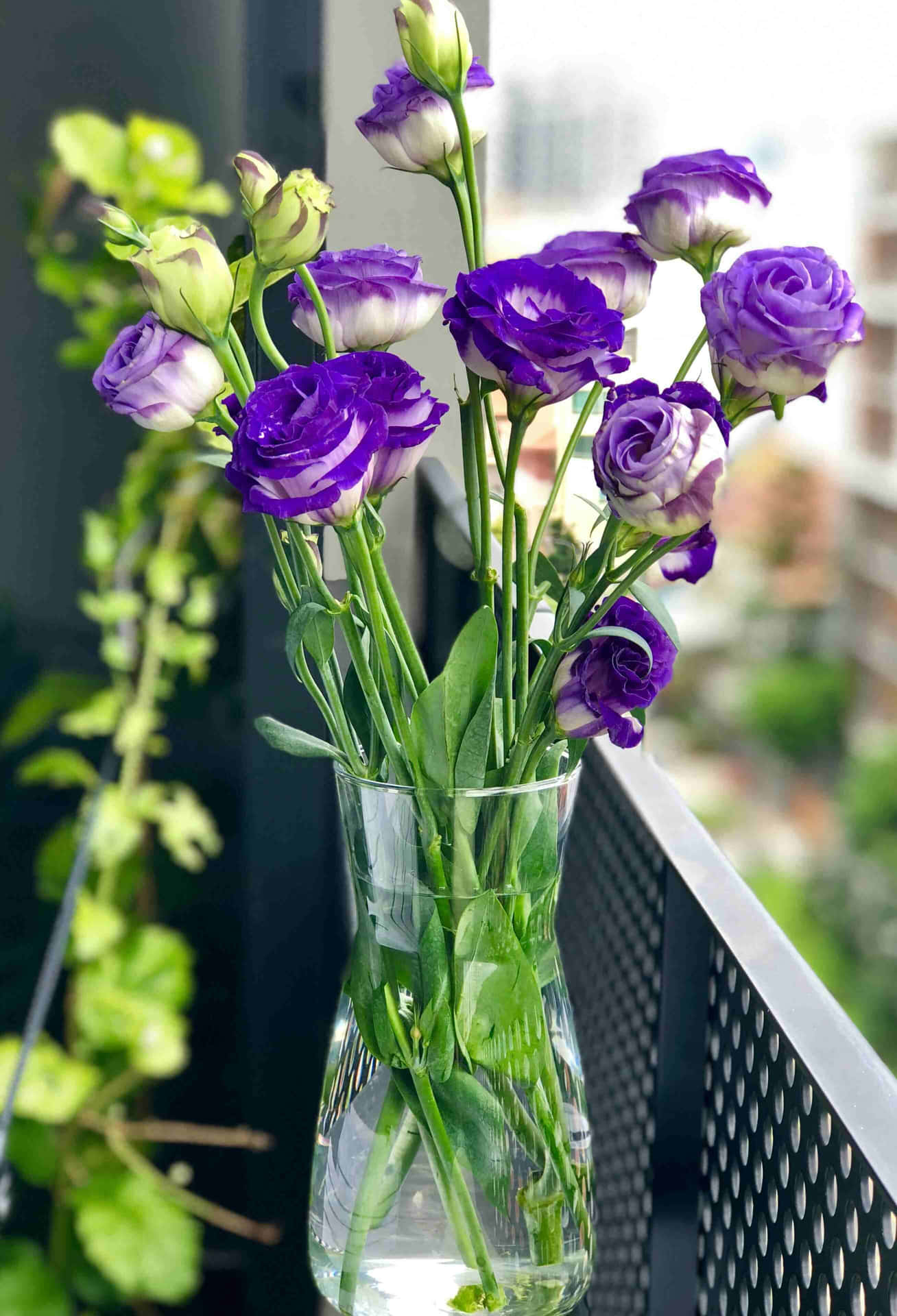 Vibrant Purple Lisianthus Bouquet Wallpaper