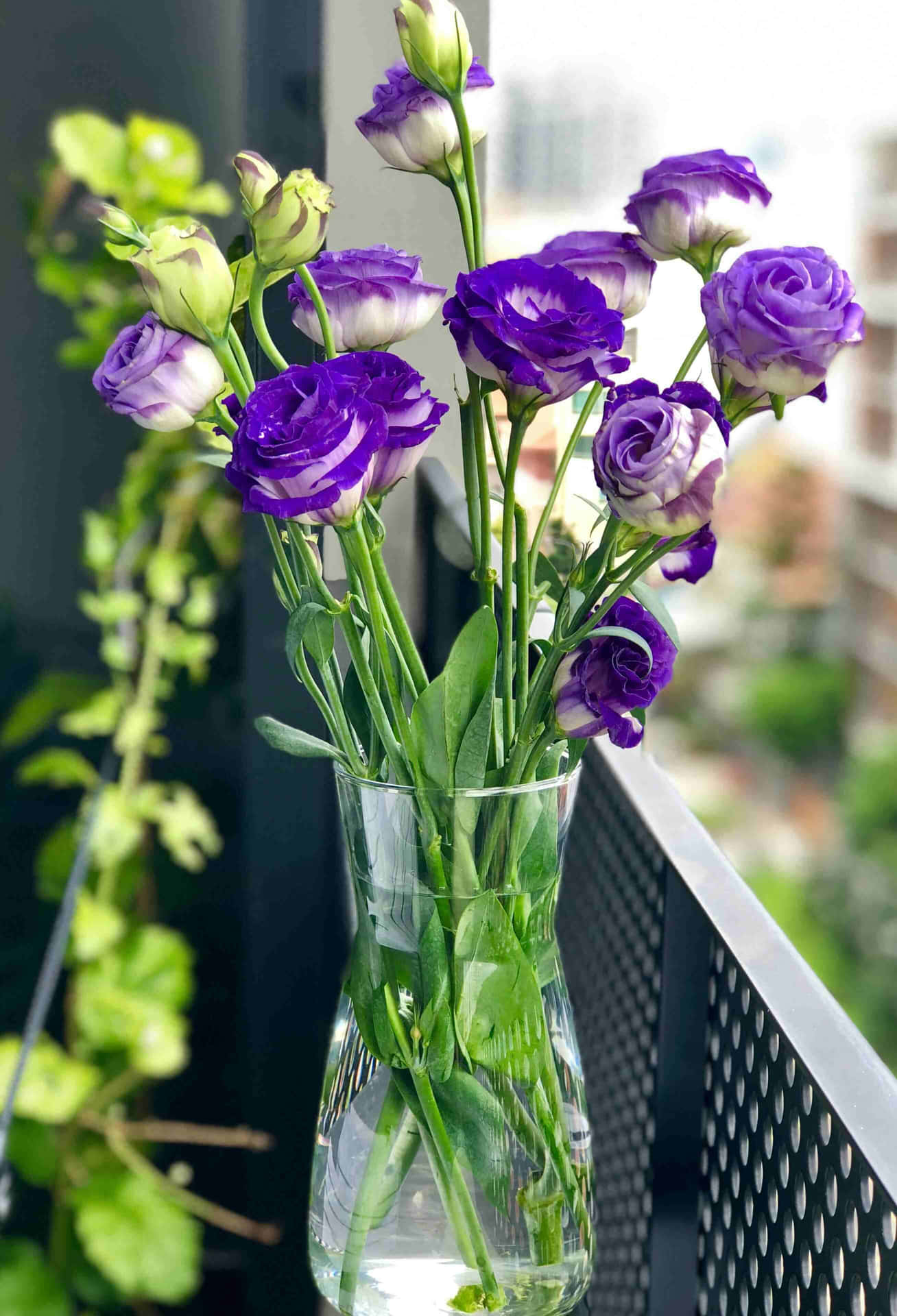 Bouquet Lisianthus Ungu Yang Cerah Wallpaper