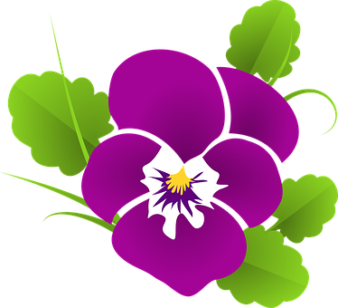 Vibrant Purple Pansy Vector PNG