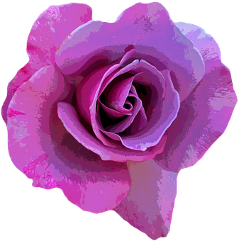 Vibrant Purple Rose Art PNG