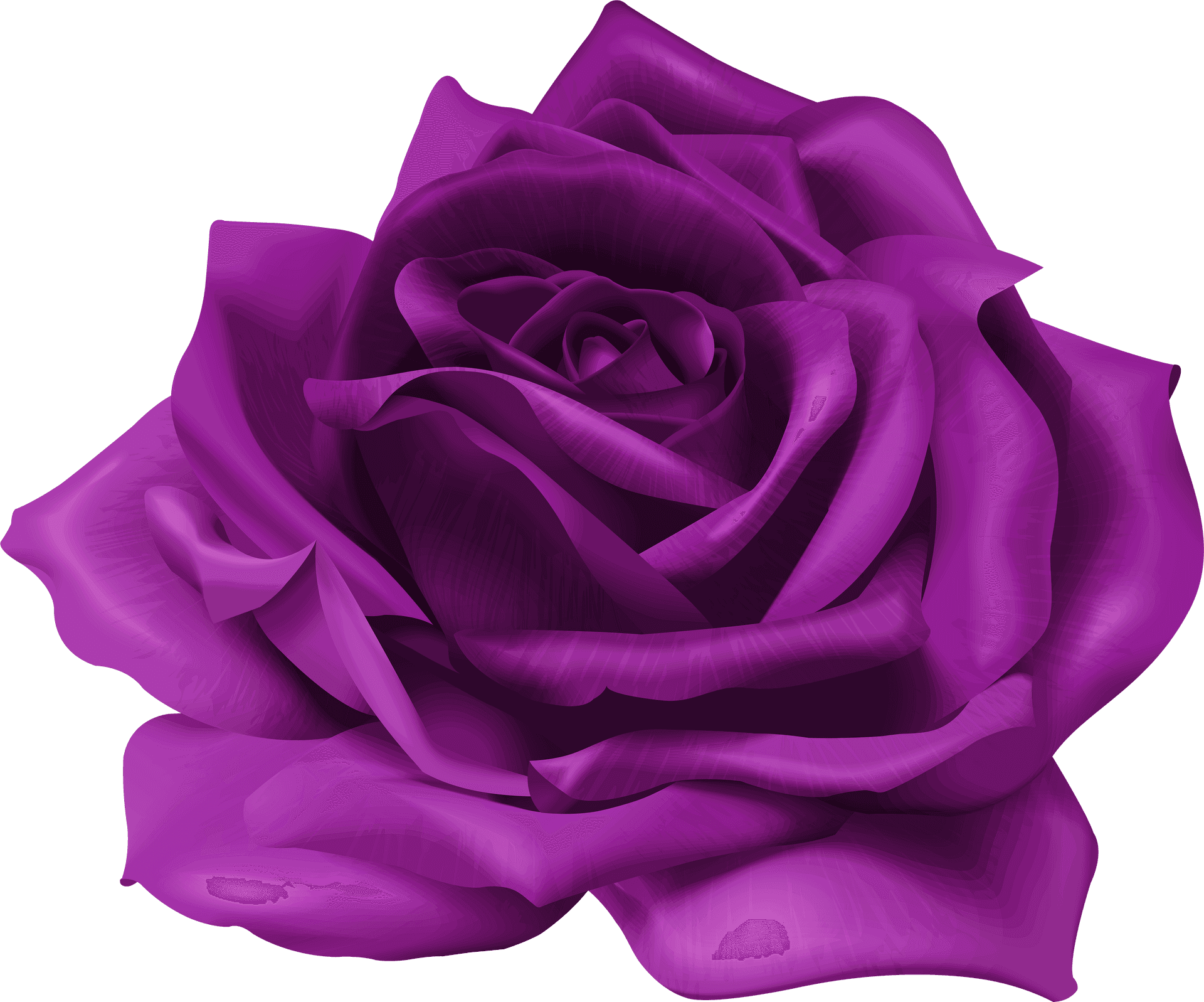 Vibrant Purple Rose Graphic PNG