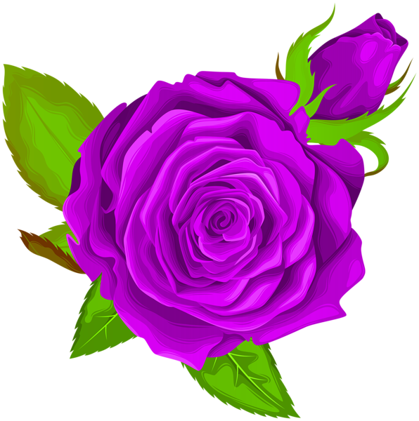 Vibrant Purple Rose Illustration PNG