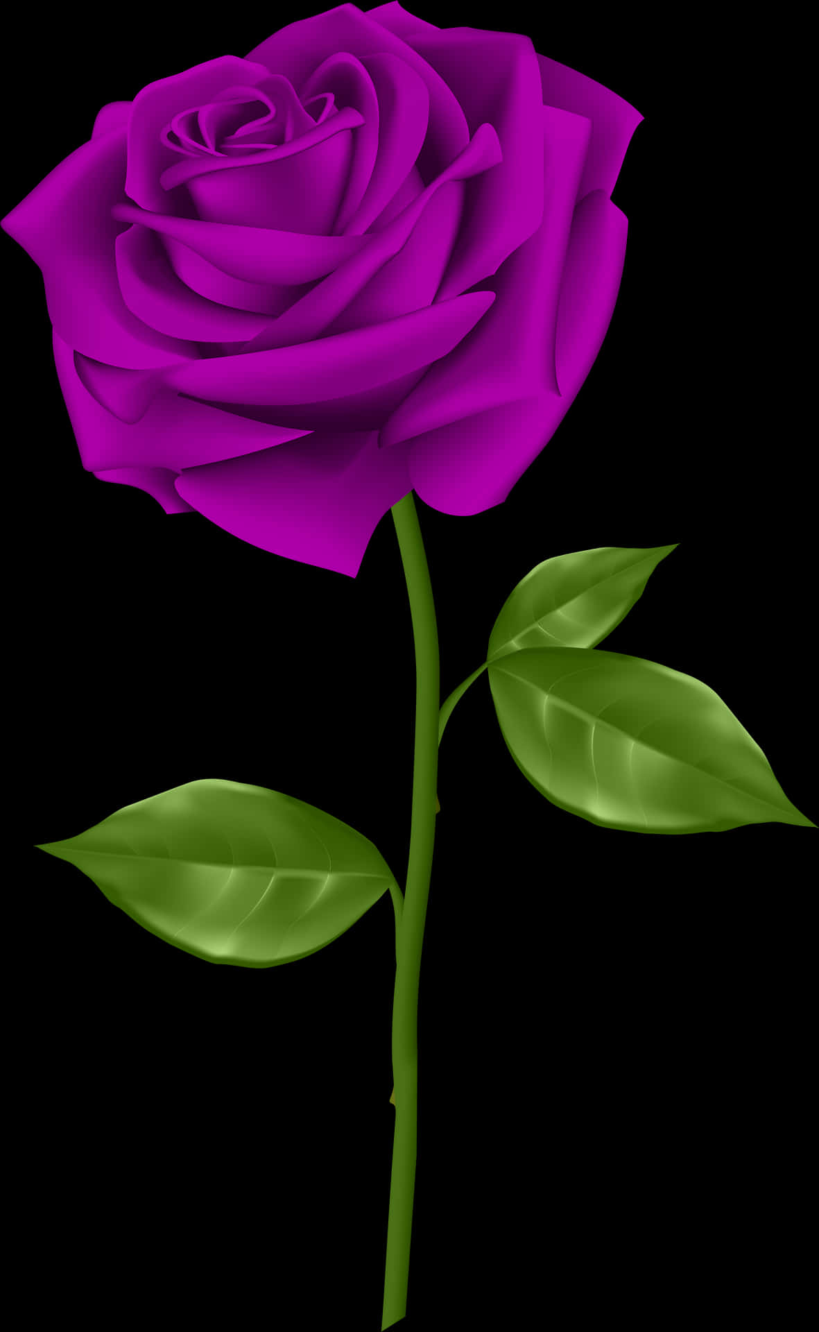 Vibrant Purple Roseon Black Background PNG