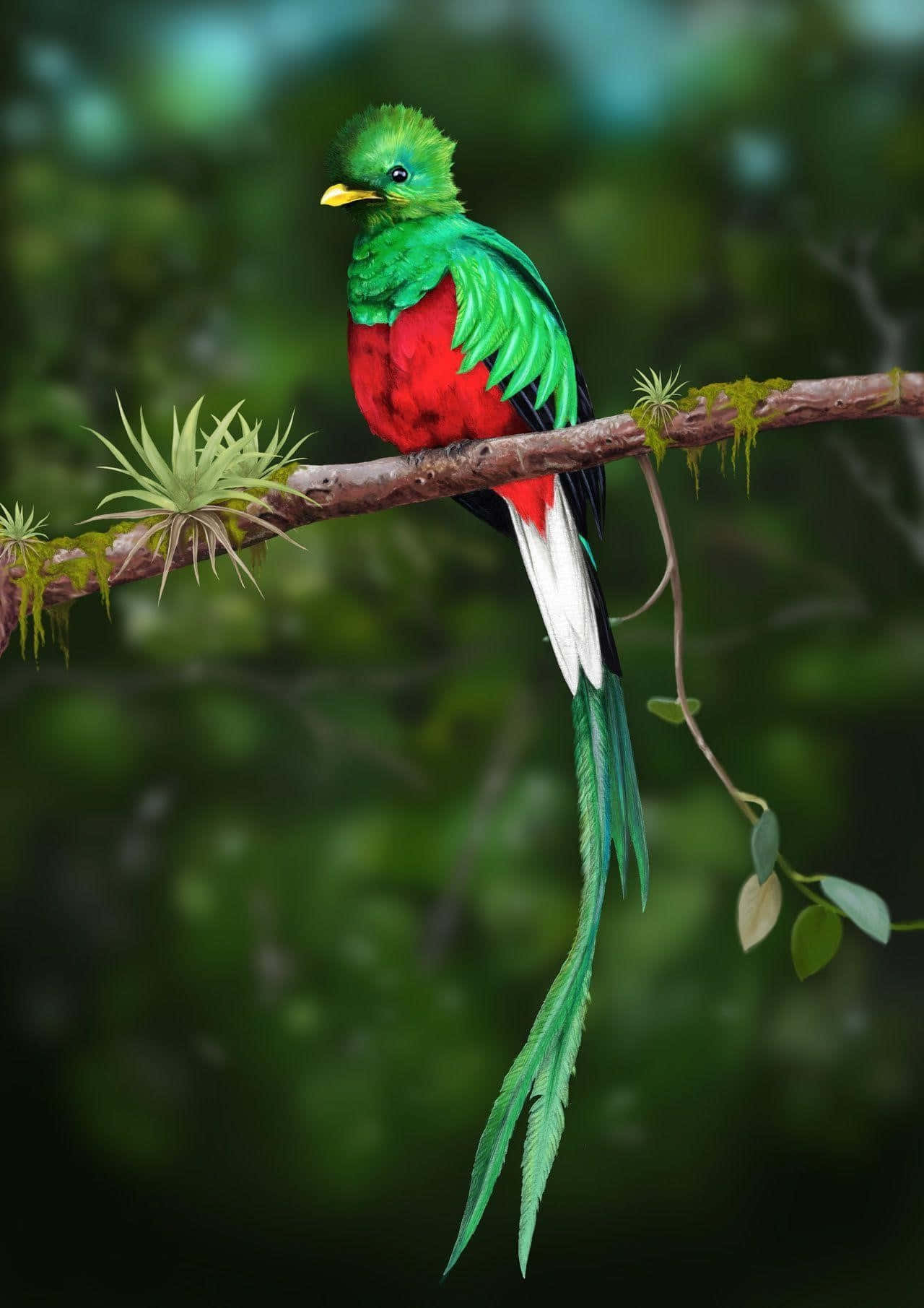 Download Vibrant Quetzal Perchedon Branch Wallpaper | Wallpapers.com