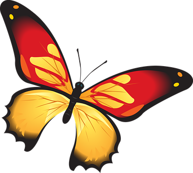 Vibrant_ Red_and_ Yellow_ Butterfly_ Vector PNG