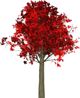 Vibrant Red Autumn Tree PNG