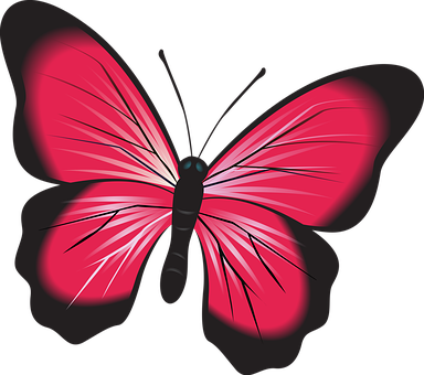 Vibrant Red Butterfly Illustration PNG