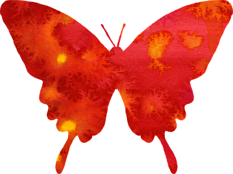 Vibrant Red Butterfly Silhouette PNG