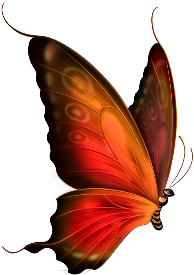 Vibrant Red Butterfly Transparent Background PNG