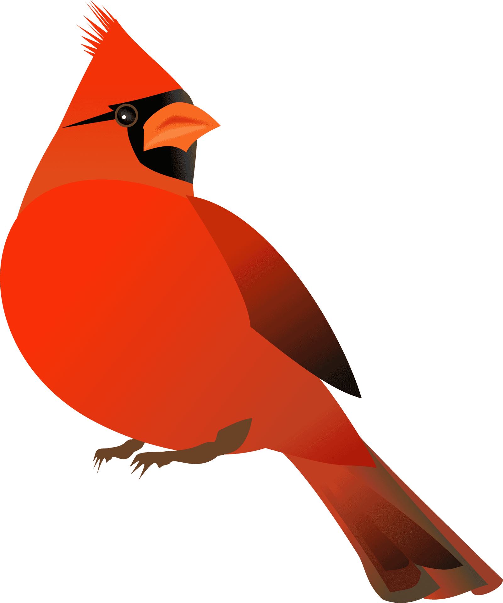 Vibrant Red Cardinal Illustration PNG