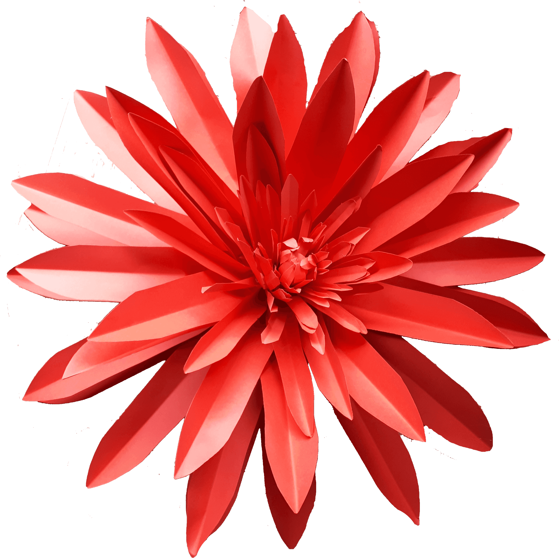 Vibrant Red Dahlia Flower PNG