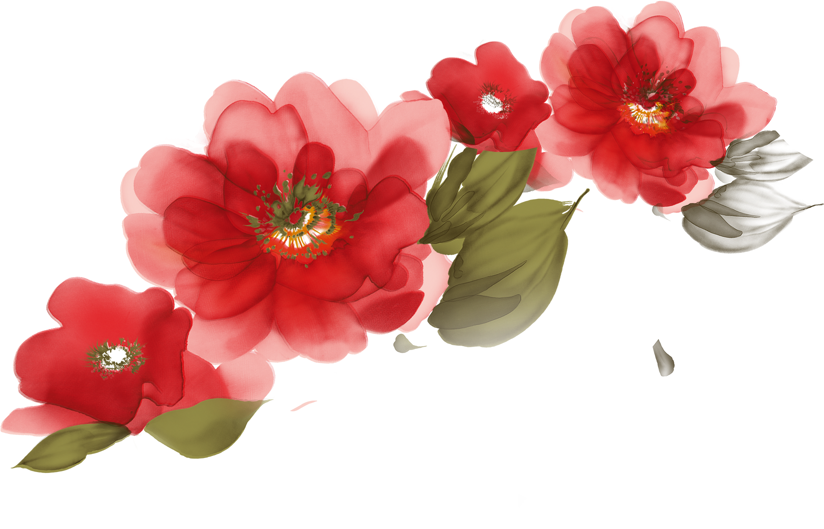 Vibrant Red Flowers Illustration PNG