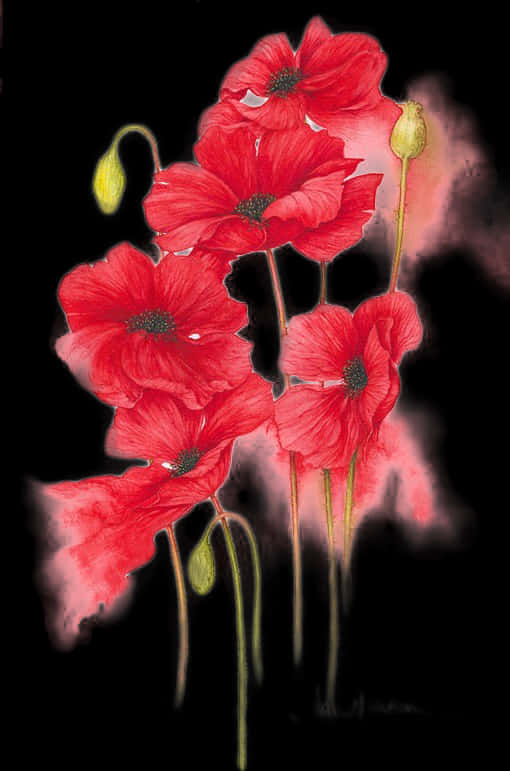 Vibrant Red Poppies Artwork PNG