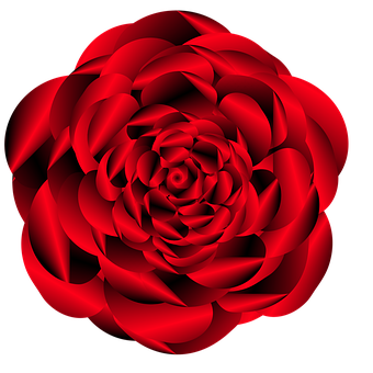 Vibrant Red Rose Black Background PNG