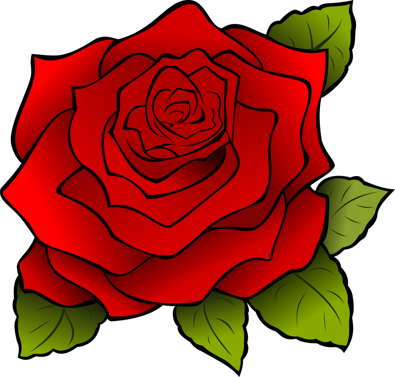Vibrant Red Rose Illustration PNG