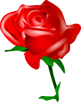 Vibrant Red Rose Illustration PNG