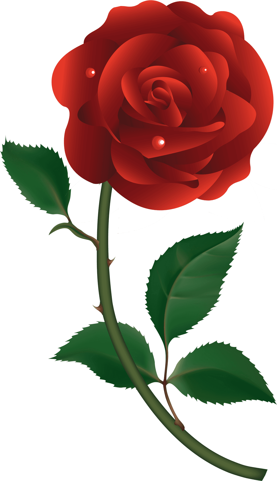 Download Vibrant Red Rose Illustration.png | Wallpapers.com