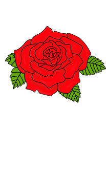 Vibrant Red Rose Illustration PNG