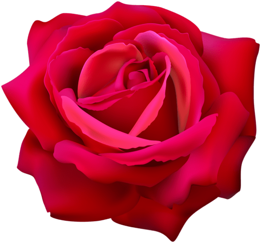 Vibrant Red Rose3 D Render PNG