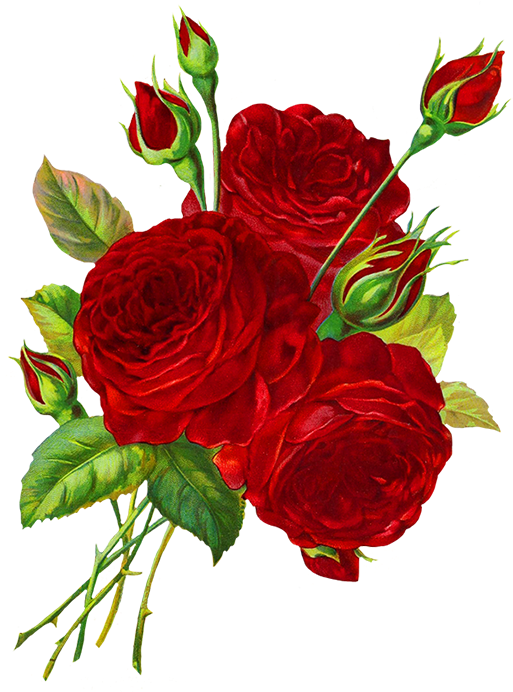 Vibrant Red Roses Artwork.png PNG