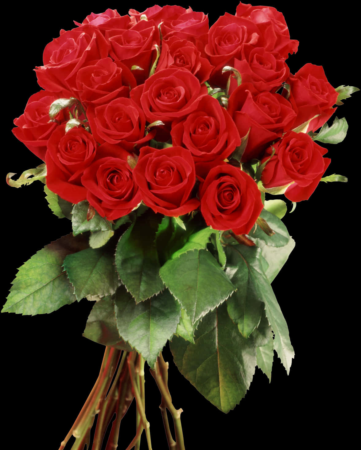 Vibrant Red Roses Bouquet PNG