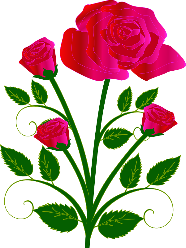 Vibrant Red Roses Vector Art PNG