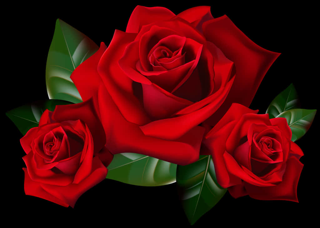 Vibrant Red Roseson Black PNG