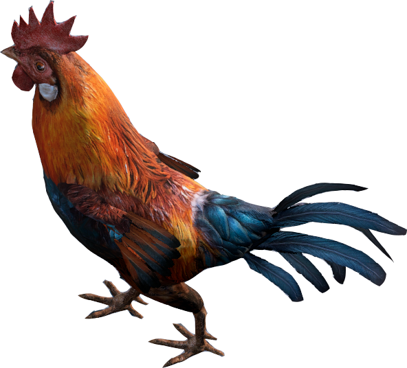 Vibrant Rooster Isolatedon Transparent Background PNG