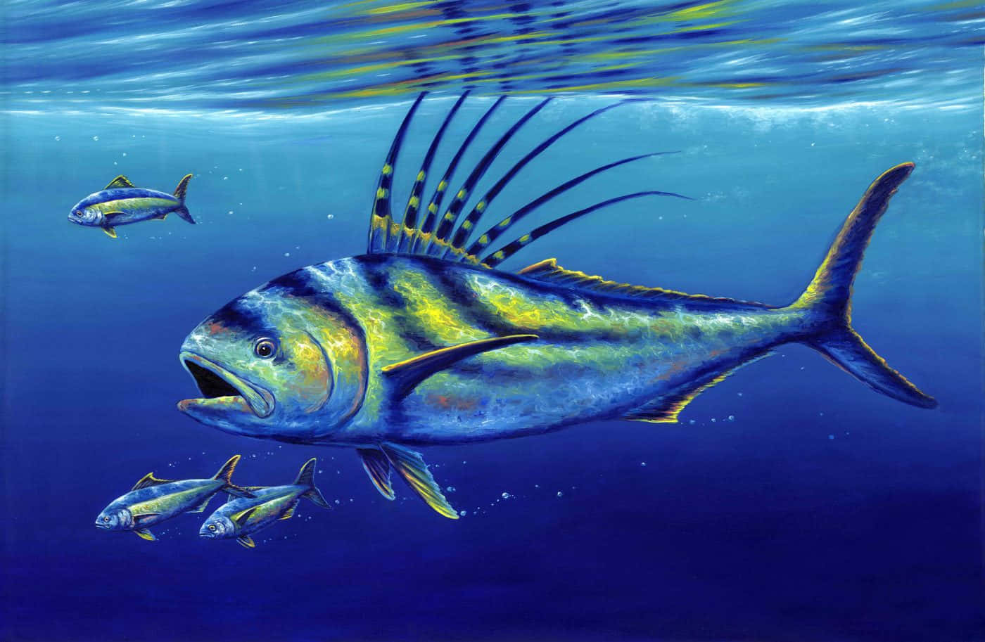 Download Vibrant Roosterfish Swimming In The Crystal-clear Ocean ...