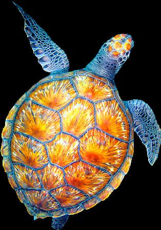 Vibrant Sea Turtle Swimming PNG