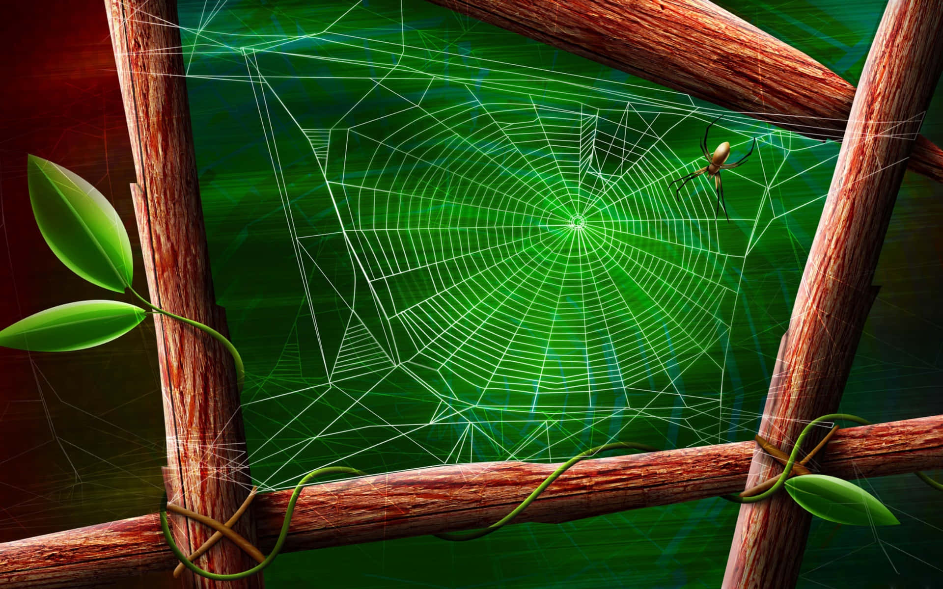 Vibrant Spider Web Wooden Frame Wallpaper