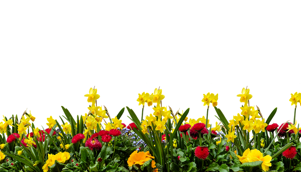 Vibrant Spring Flower Border PNG