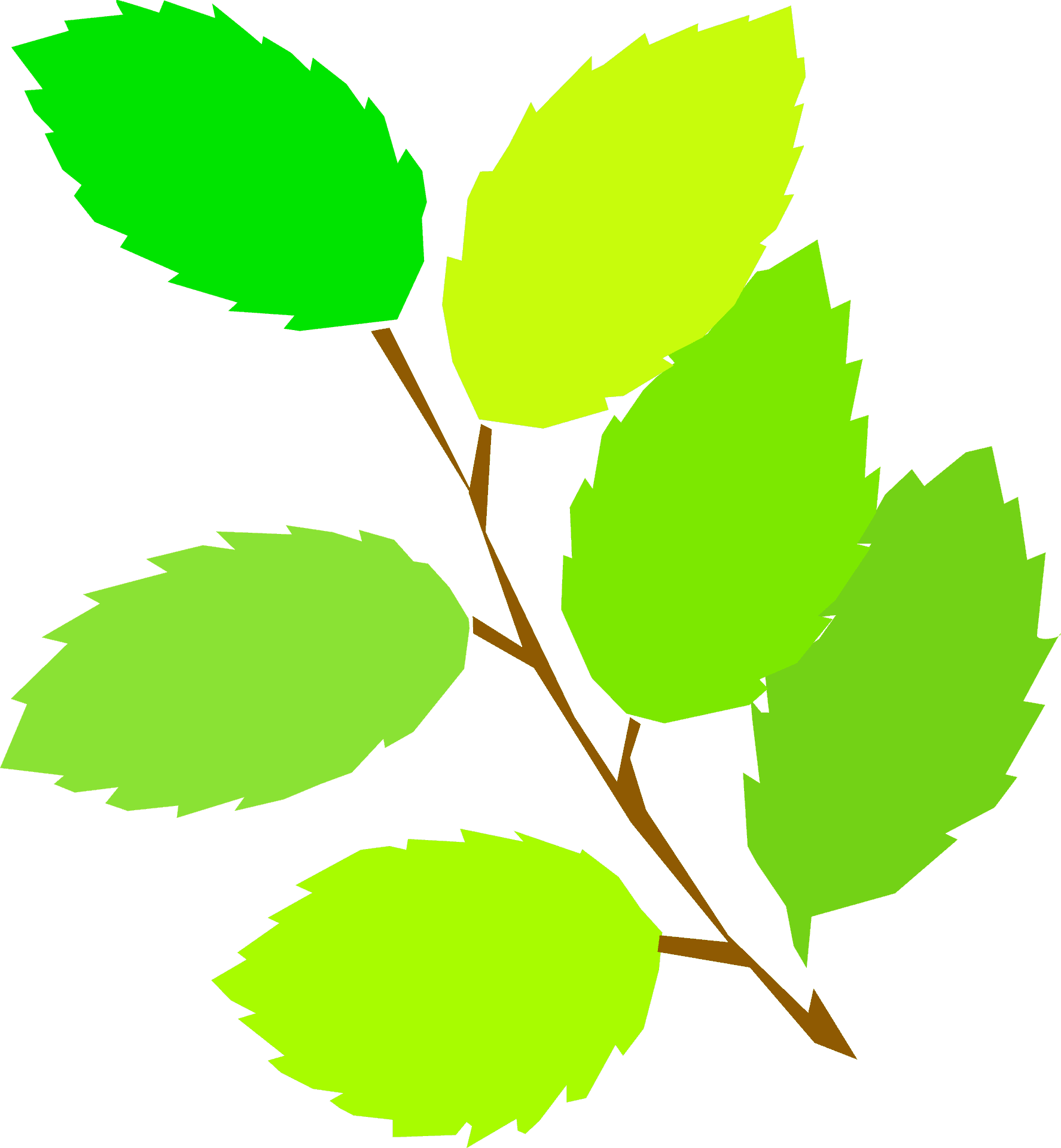 Vibrant Spring Leaves Graphic PNG