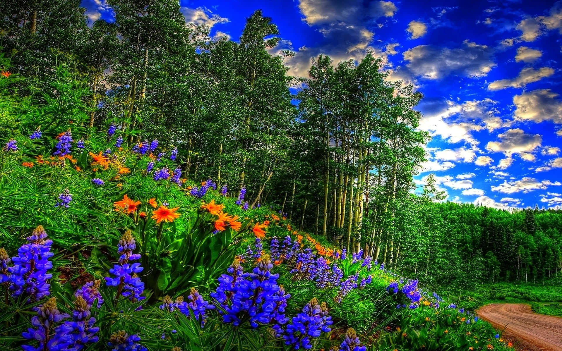 Vibrant_ Springtime_ Floral_ Landscape.jpg Wallpaper