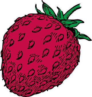 Vibrant Strawberry Illustration PNG