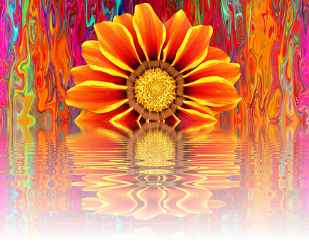 Vibrant Summer Bloom Reflection PNG