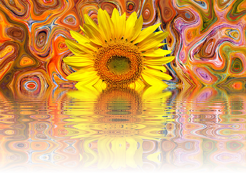 Vibrant Sunflower Artistic Reflection.jpg PNG