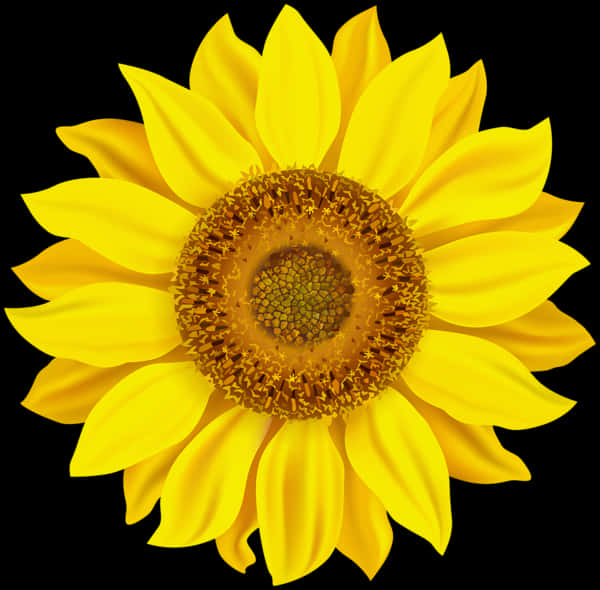 Vibrant Sunflower Black Background PNG