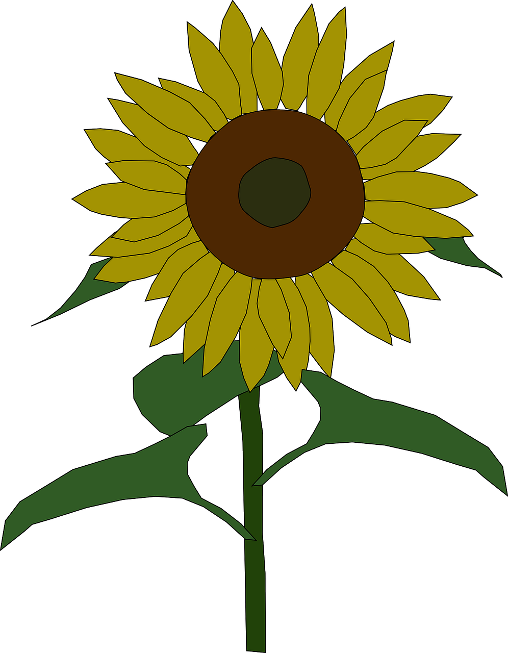 Vibrant Sunflower Clipart PNG