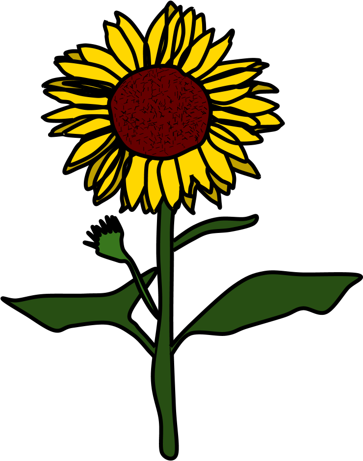 Vibrant Sunflower Clipart PNG