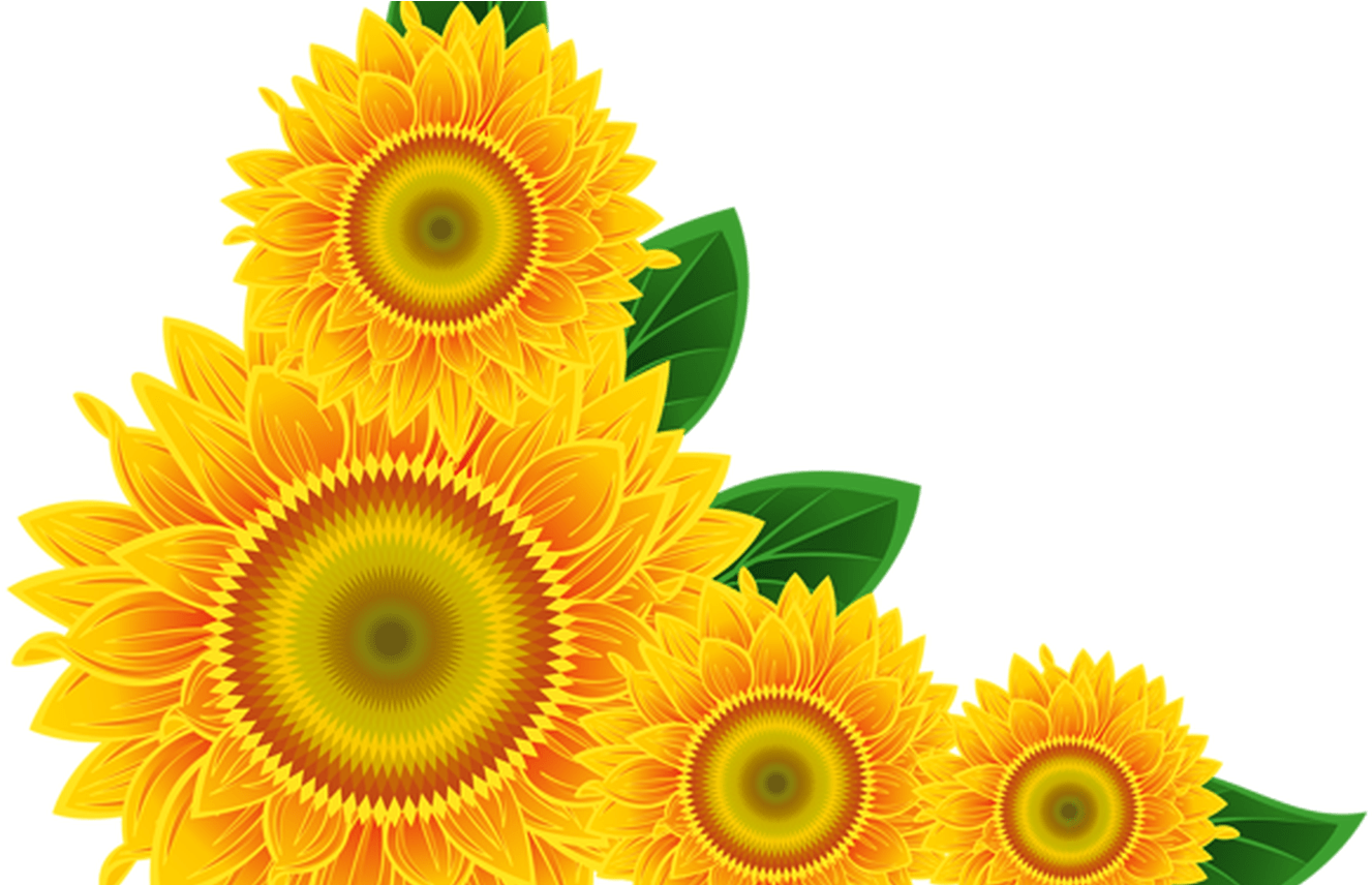 Vibrant Sunflower Corner Design PNG