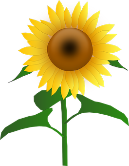 Vibrant Sunflower Graphic PNG