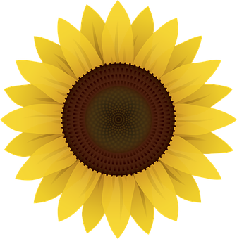 Vibrant Sunflower Graphic PNG