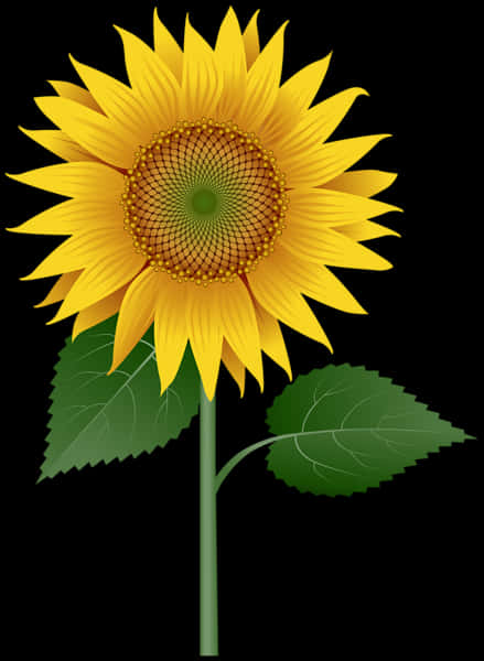 Vibrant Sunflower Illustration PNG