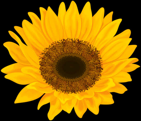 Vibrant Sunflower Illustration PNG