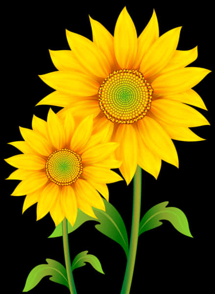 Vibrant Sunflowers Black Background PNG