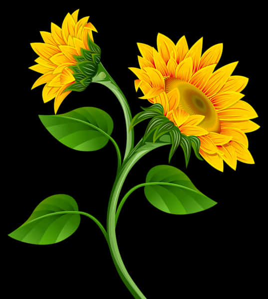 Vibrant Sunflowers Vector Illustration PNG