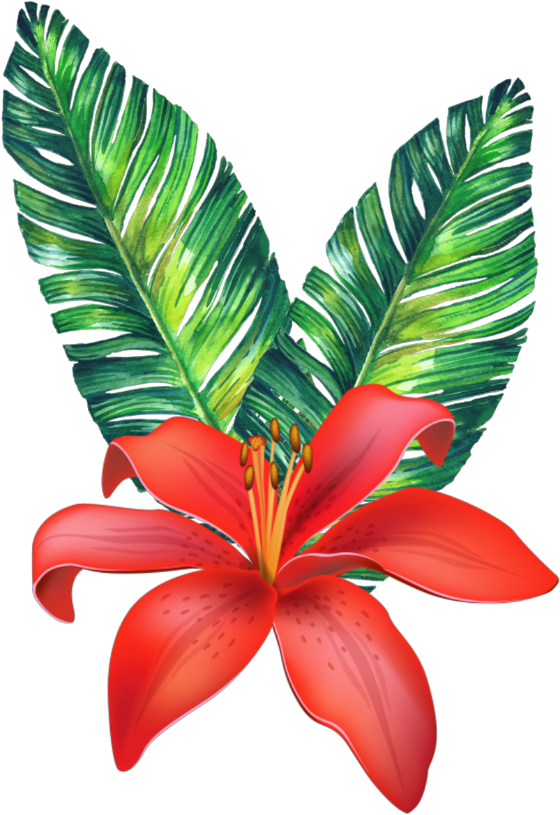 Vibrant Tropical Flora PNG