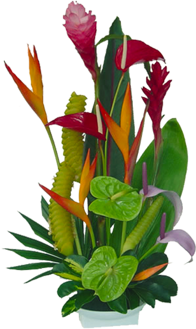 Vibrant Tropical Flower Arrangement.png PNG