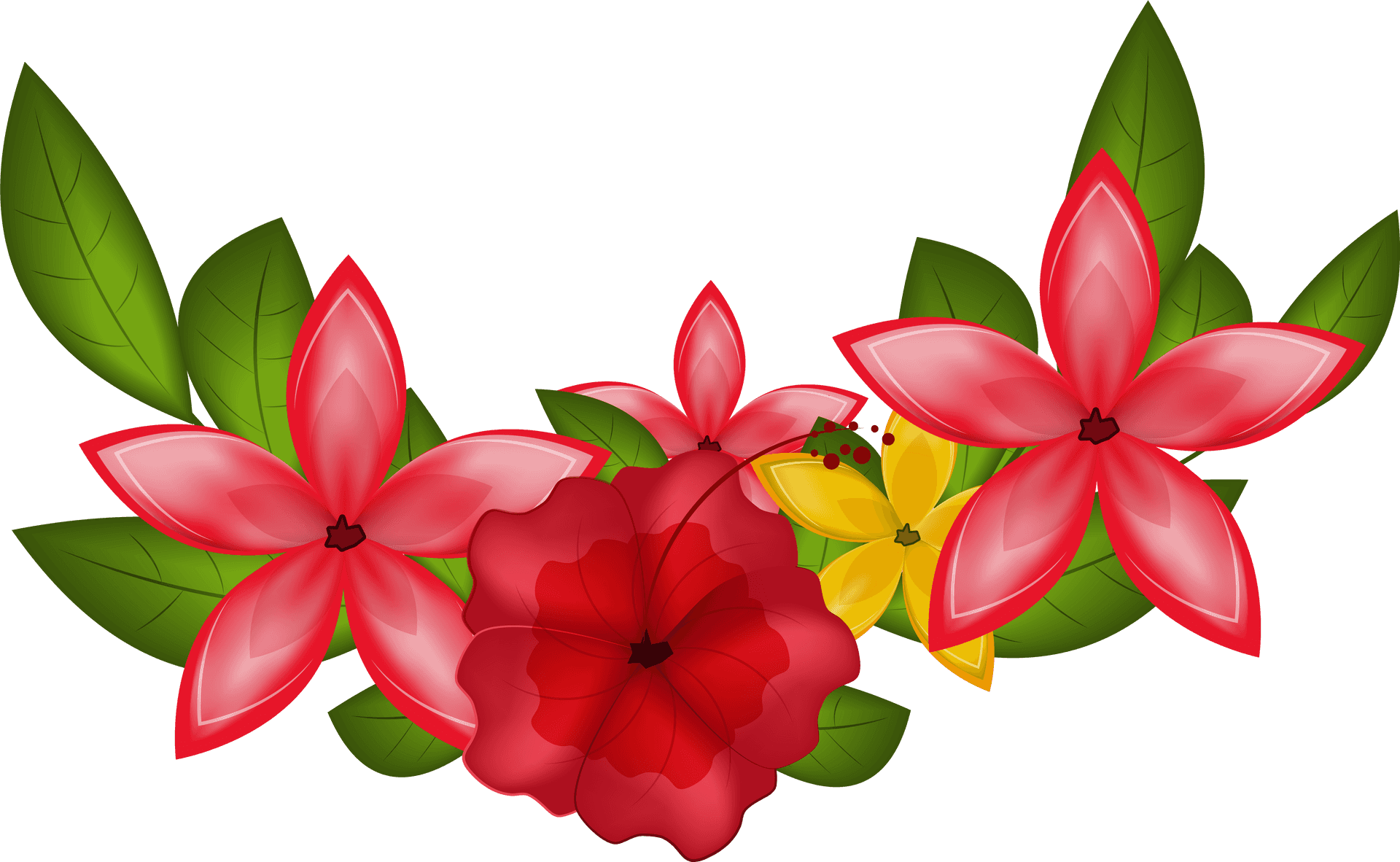 Vibrant Tropical Flowers PNG